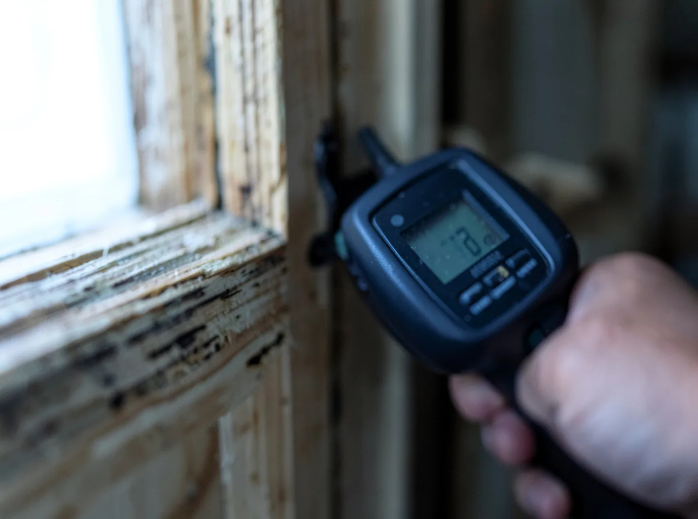 Commercial Water Damage Restoration in Ross, CA